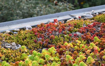 the cost of Lowfield Heath green roof installation