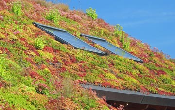 Lowfield Heath living roof systems