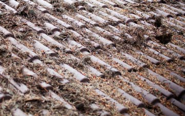 Lowfield Heath roof cleaning companies