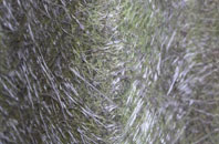 Lowfield Heath fibreglass roof work